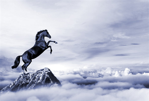 深度整合企業(yè)戰(zhàn)略資源，構(gòu)建高效運(yùn)營(yíng)管理體系