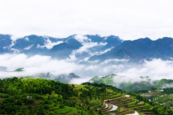 溫州供應(yīng)鏈咨詢公司如何優(yōu)化企業(yè)供應(yīng)鏈流程？