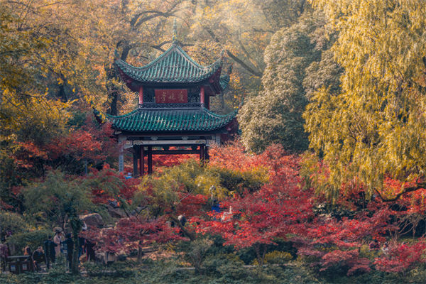 長沙薪酬咨詢公司如何設(shè)計合理的薪酬結(jié)構(gòu)與體系？