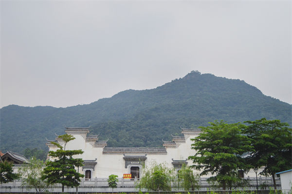 佛山組織規(guī)劃咨詢公司如何優(yōu)化企業(yè)人才梯隊(duì)建設(shè)？