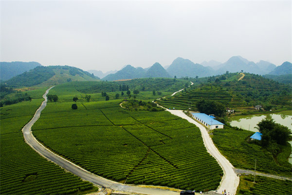 清遠(yuǎn)營(yíng)銷咨詢公司深挖需求，如何為品牌打造直擊消費(fèi)痛點(diǎn)的賣點(diǎn)？