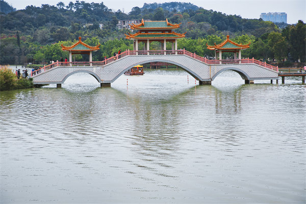 供應(yīng)鏈斷鏈頻發(fā)、交付延遲嚴(yán)重，肇慶供應(yīng)鏈咨詢公司能解嗎？