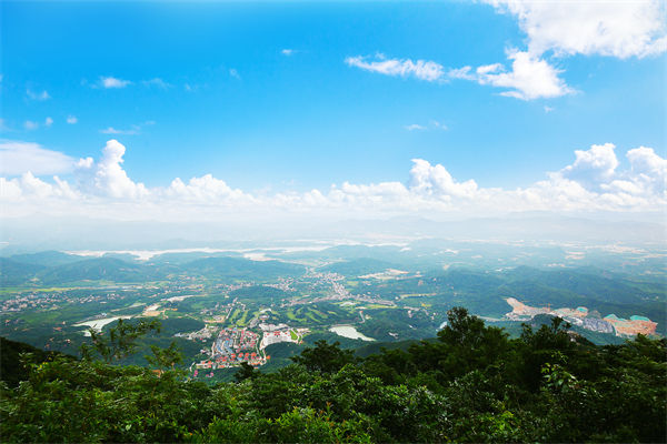 企業(yè)戰(zhàn)略飄在半空落地難，惠州戰(zhàn)略咨詢公司能錨定方向嗎？