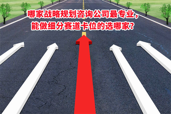 哪家戰(zhàn)略規(guī)劃咨詢(xún)公司最專(zhuān)業(yè)，能做細(xì)分賽道卡位的選哪家？