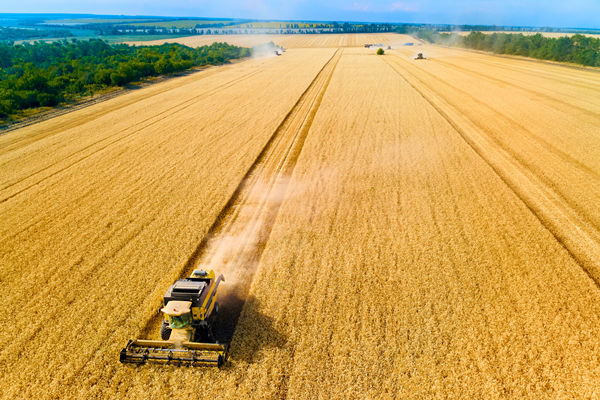 農(nóng)業(yè)行業(yè)供應(yīng)鏈管理咨詢公司推薦，能解農(nóng)資采購(gòu)成本高問題嗎？